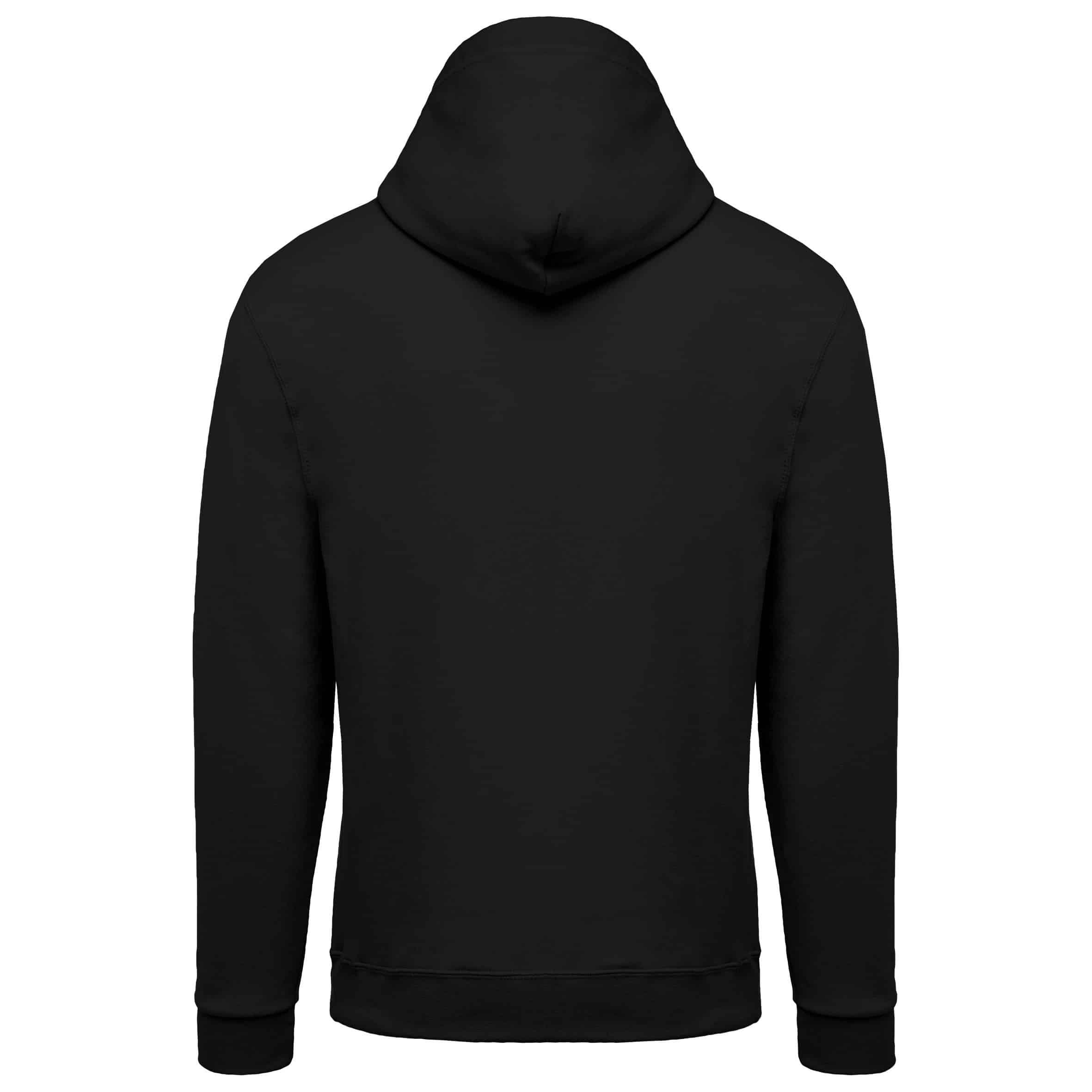 Image Sweat à capuche 3621